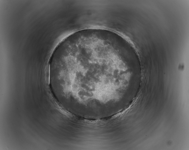 X0000097891223200804041302