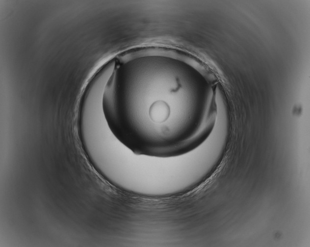 X0000097891224200804041302