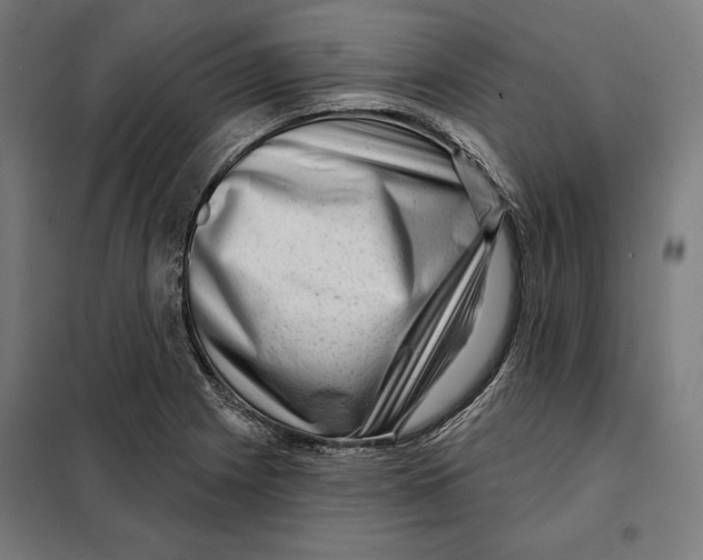 X0000097891225200804041302