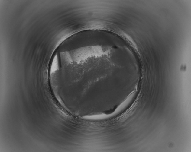 X0000097891226200804041302