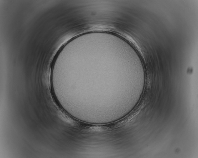 X0000097891227200804041302