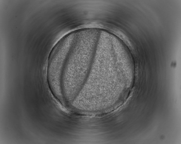 X0000097891228200804041302