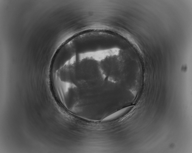 X0000097891229200804041302