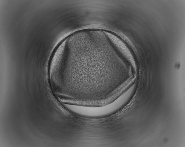 X0000097891230200804041302