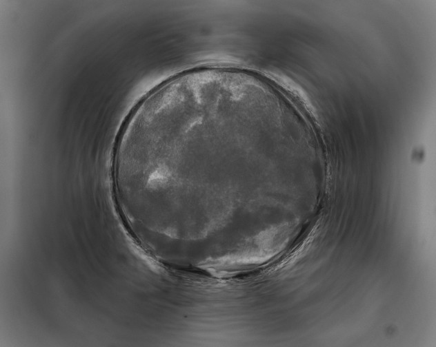 X0000097891231200804041302