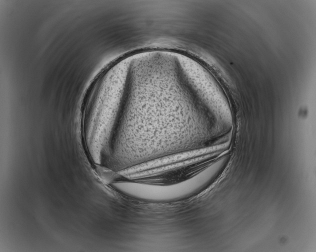 X0000097891232200804041302