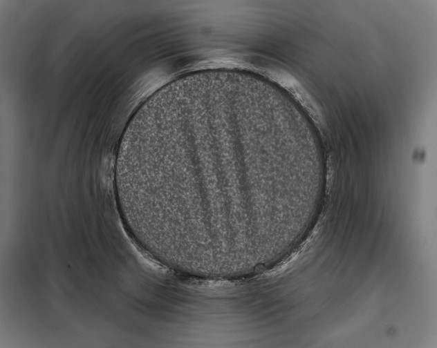 X0000097891233200804041302