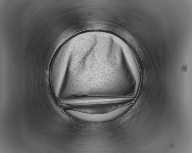 X0000097891234200804041302