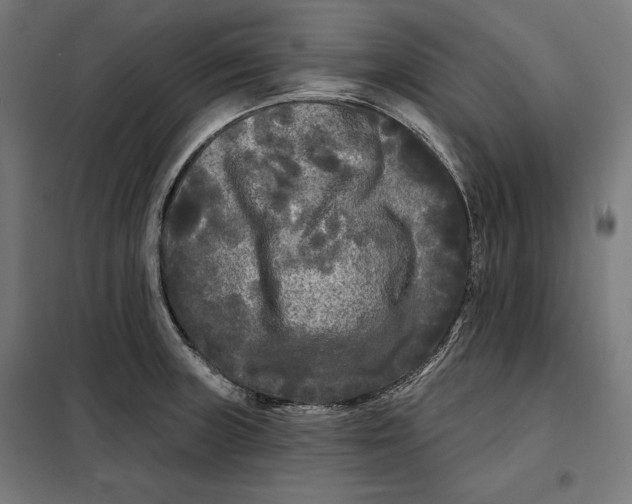 X0000097891235200804041302