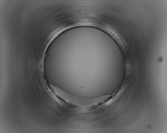 X0000097891236200804041302