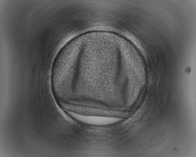 X0000097891237200804041303