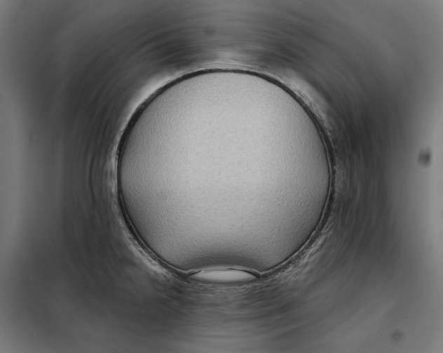 X0000097891238200804041303