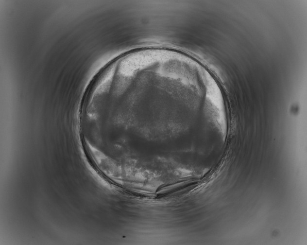 X0000097891239200804041303