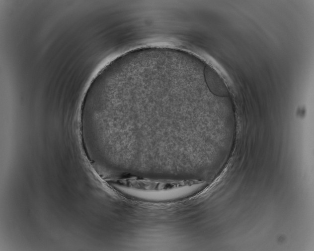 X0000097891240200804041303