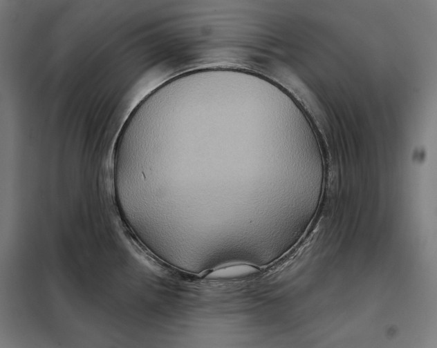 X0000097891242200804041303