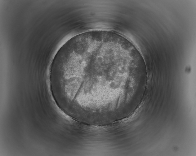 X0000097891243200804041303