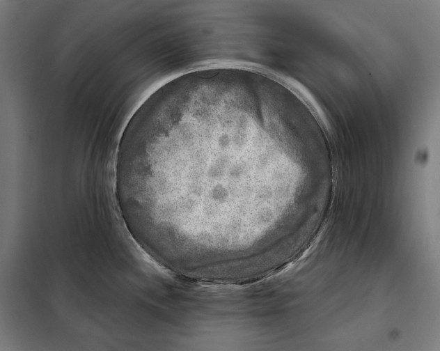 X0000097891244200804041303