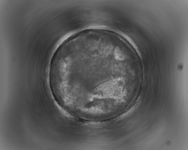 X0000097891245200804041303