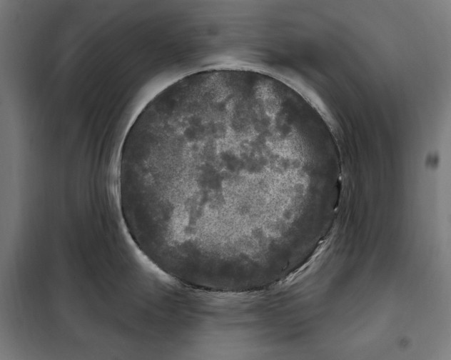 X0000097891247200804041303