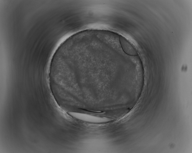 X0000097891248200804041303