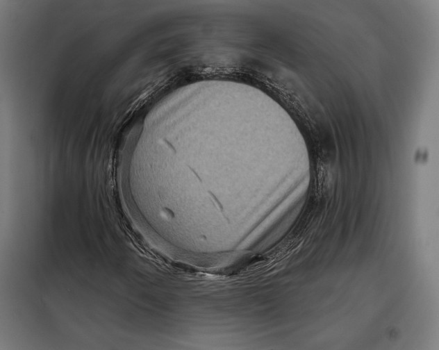 X0000097891250200804041302