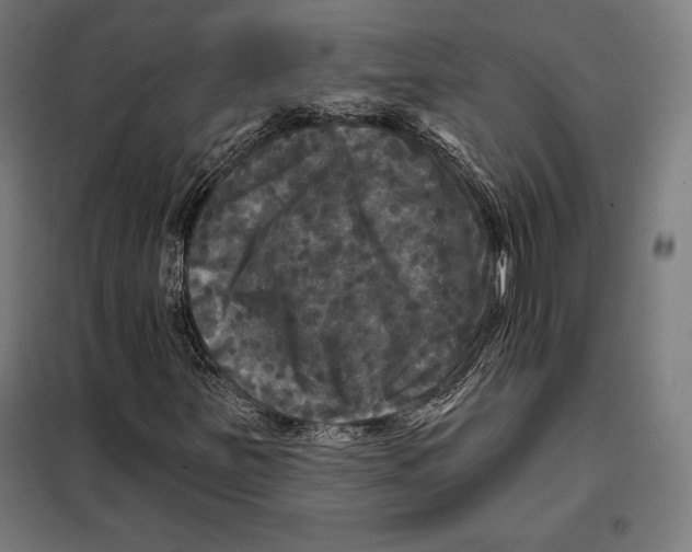 X0000097891251200804041302