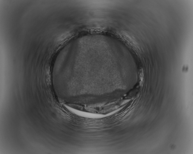 X0000097891252200804041302