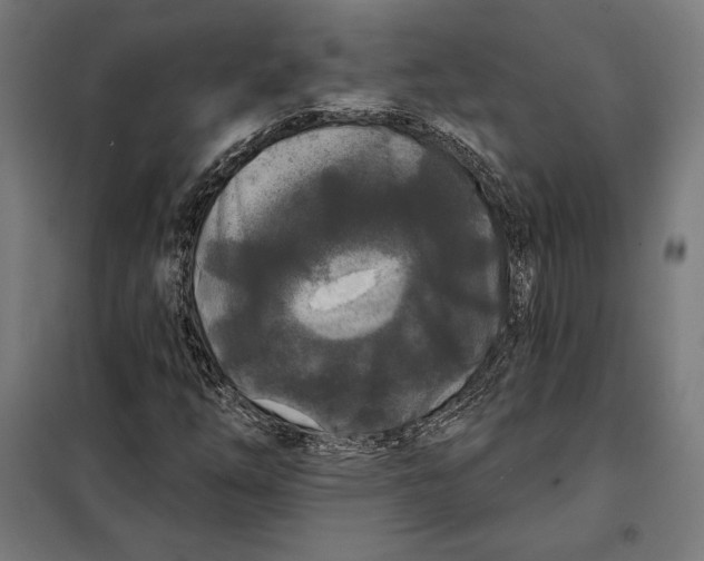 X0000097891254200804041302