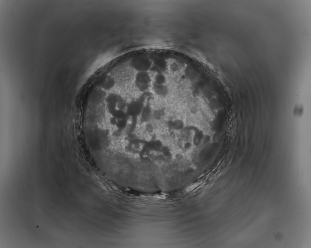 X0000097891255200804041302