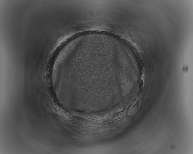 X0000097891256200804041302