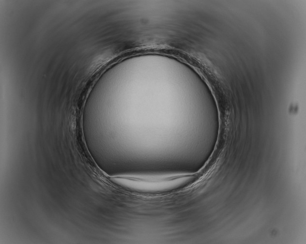 X0000097891257200804041302