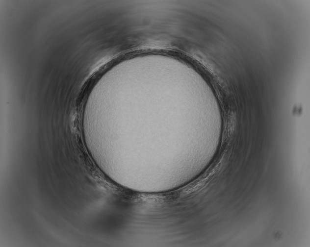 X0000097891258200804041302