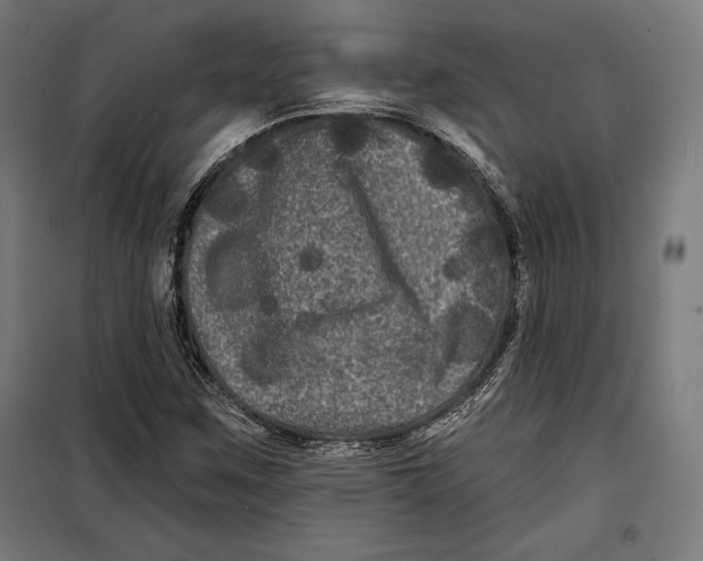 X0000097891259200804041302