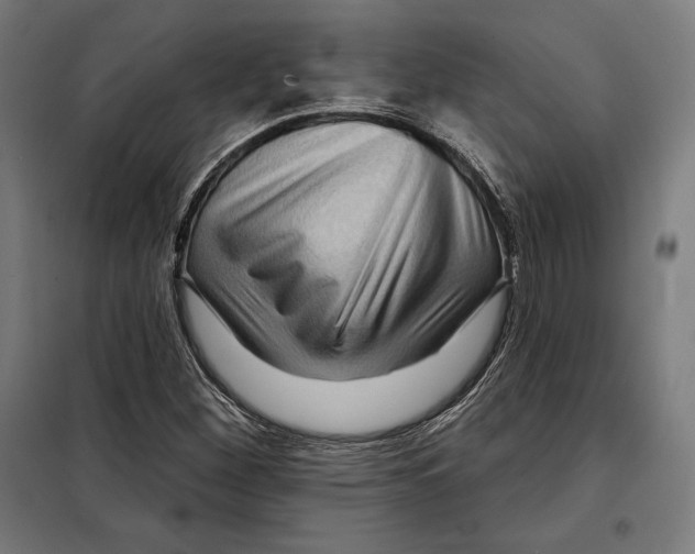 X0000097891260200804041302