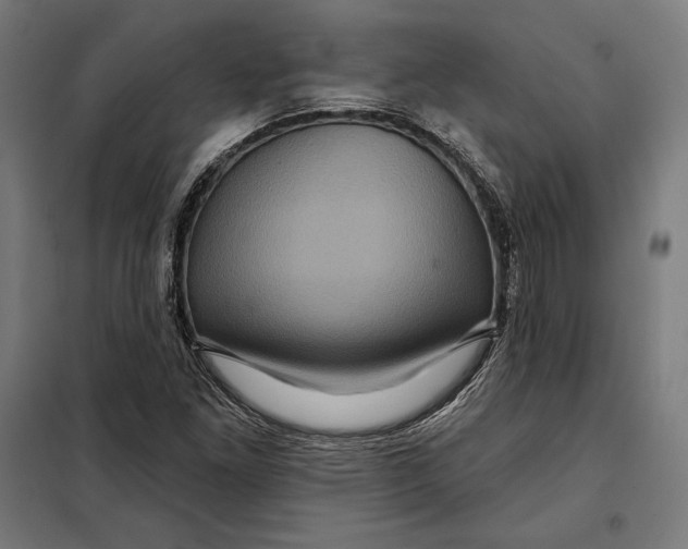 X0000097891261200804041302