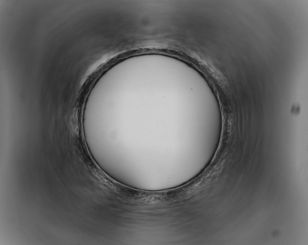 X0000097891262200804041302