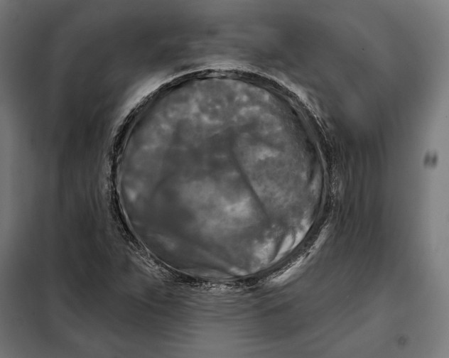 X0000097891263200804041302