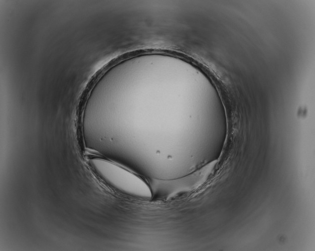 X0000097891264200804041302