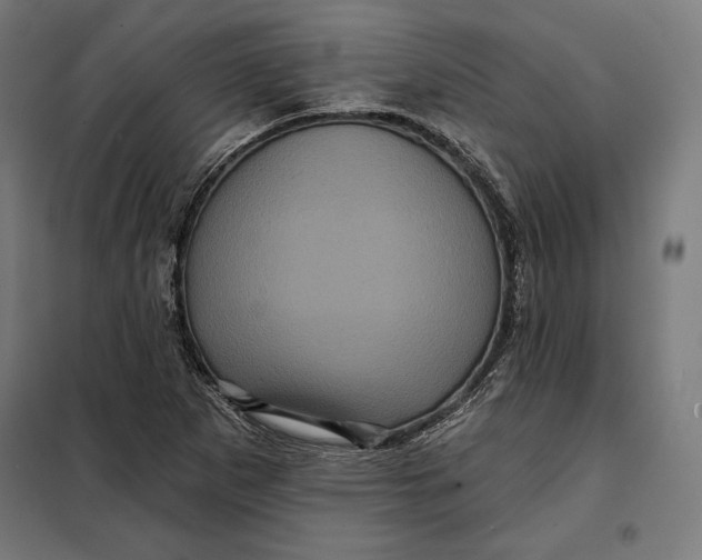 X0000097891265200804041302