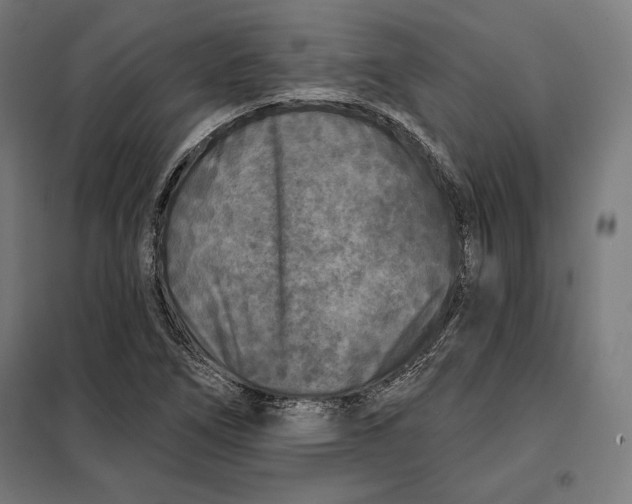 X0000097891266200804041302