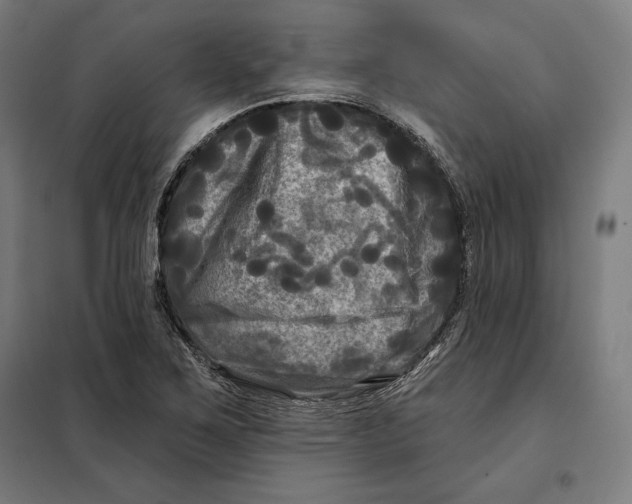 X0000097891267200804041302