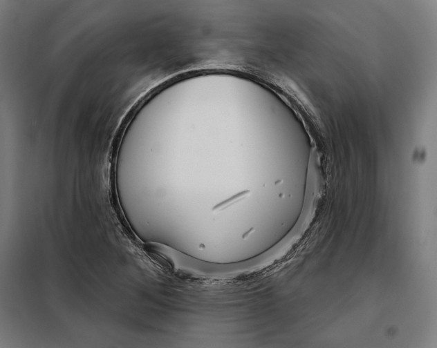 X0000097891268200804041302