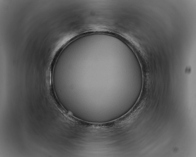 X0000097891269200804041302