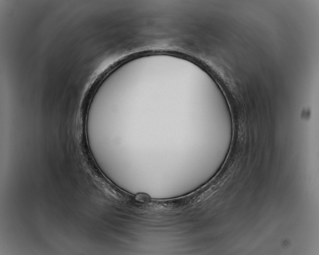 X0000097891270200804041302