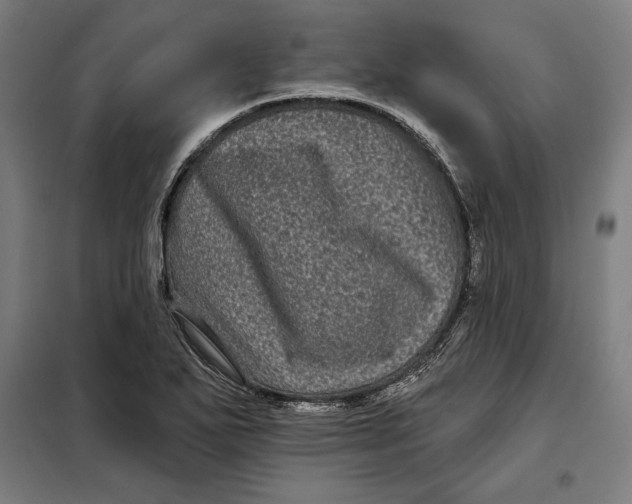 X0000097891271200804041302