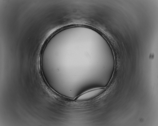 X0000097891272200804041302