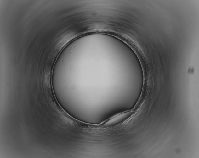 X0000097891273200804041302