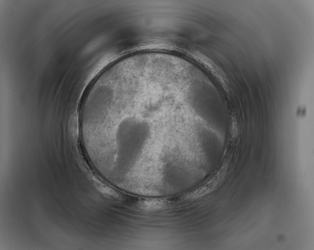 X0000097891274200804041302