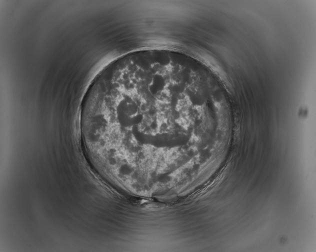 X0000097891275200804041302