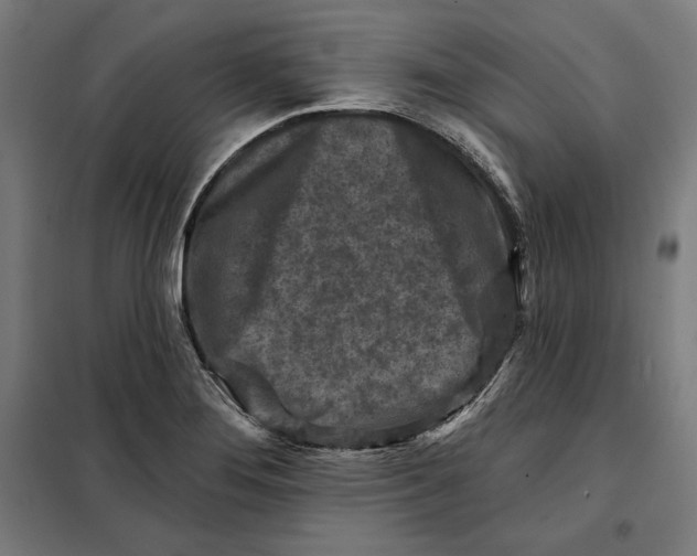 X0000097891276200804041302